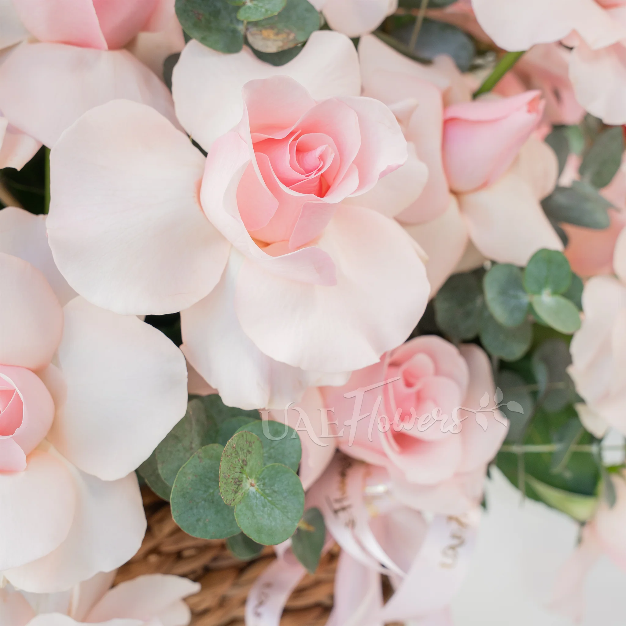 23 pink roses with green fillers in a basket.