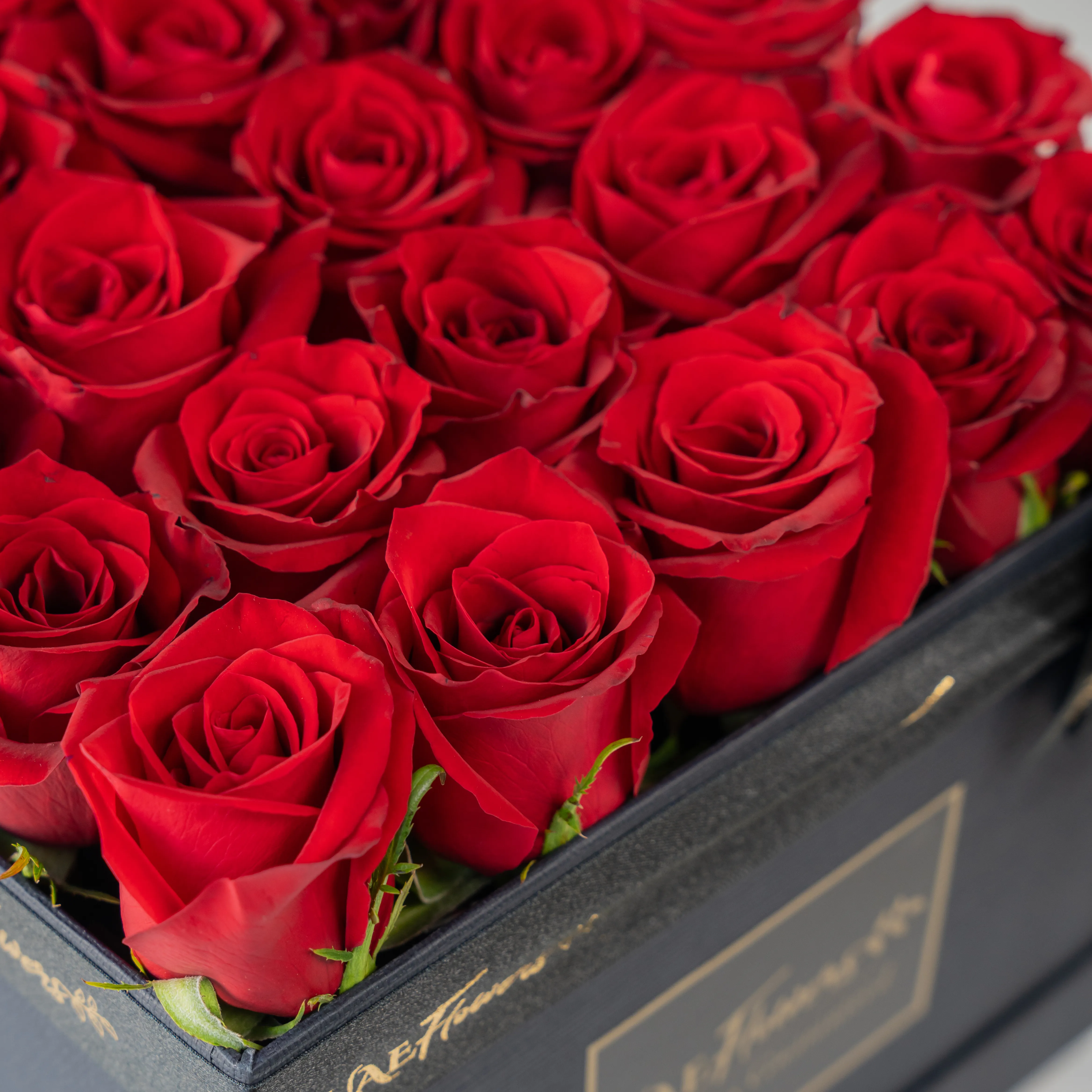 20 red roses in a round box.