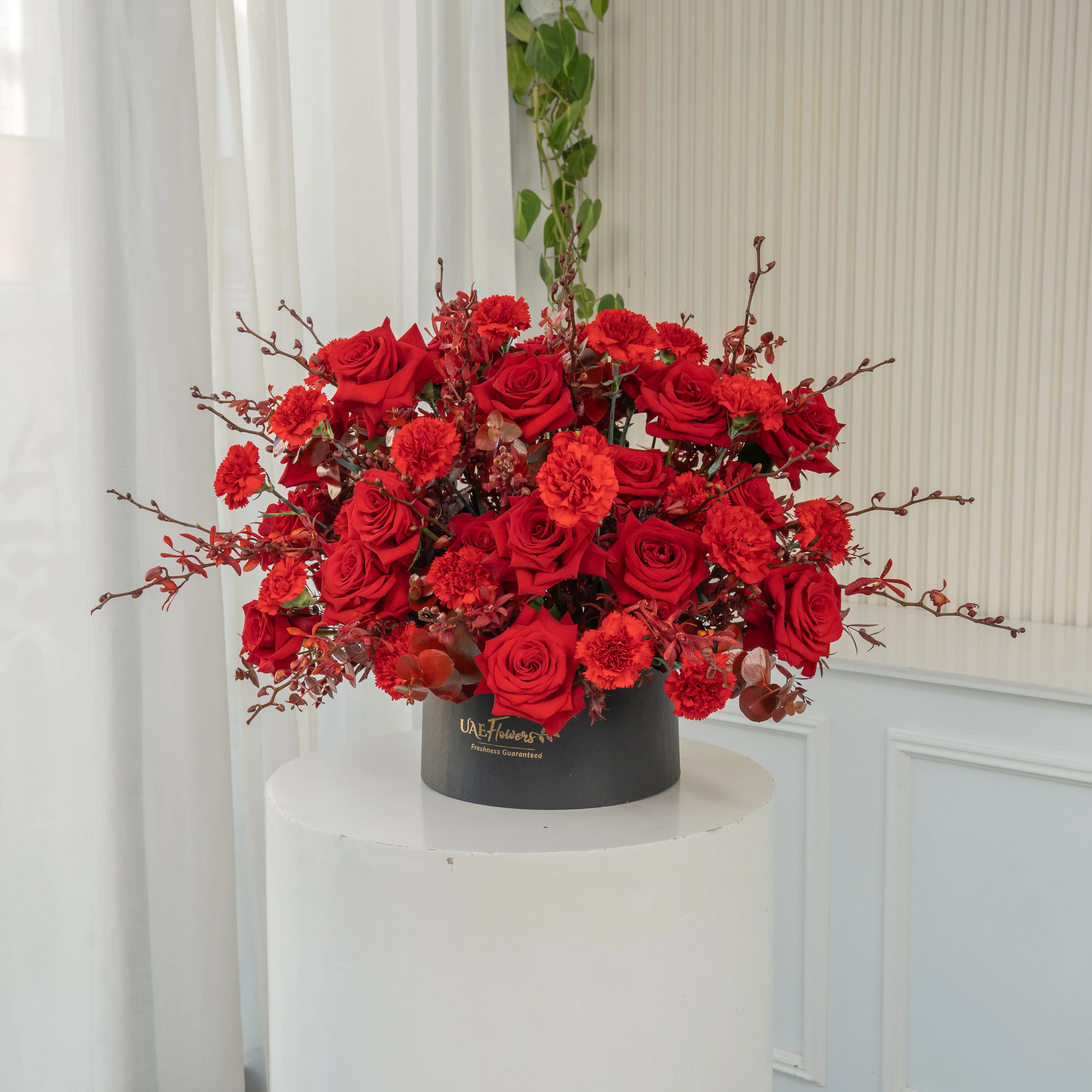 50 red roses, 25 red carnations, and 30 Annie black orchids arranged in a round box, a luxurious floral gift for grand celebrations and romantic gestures.