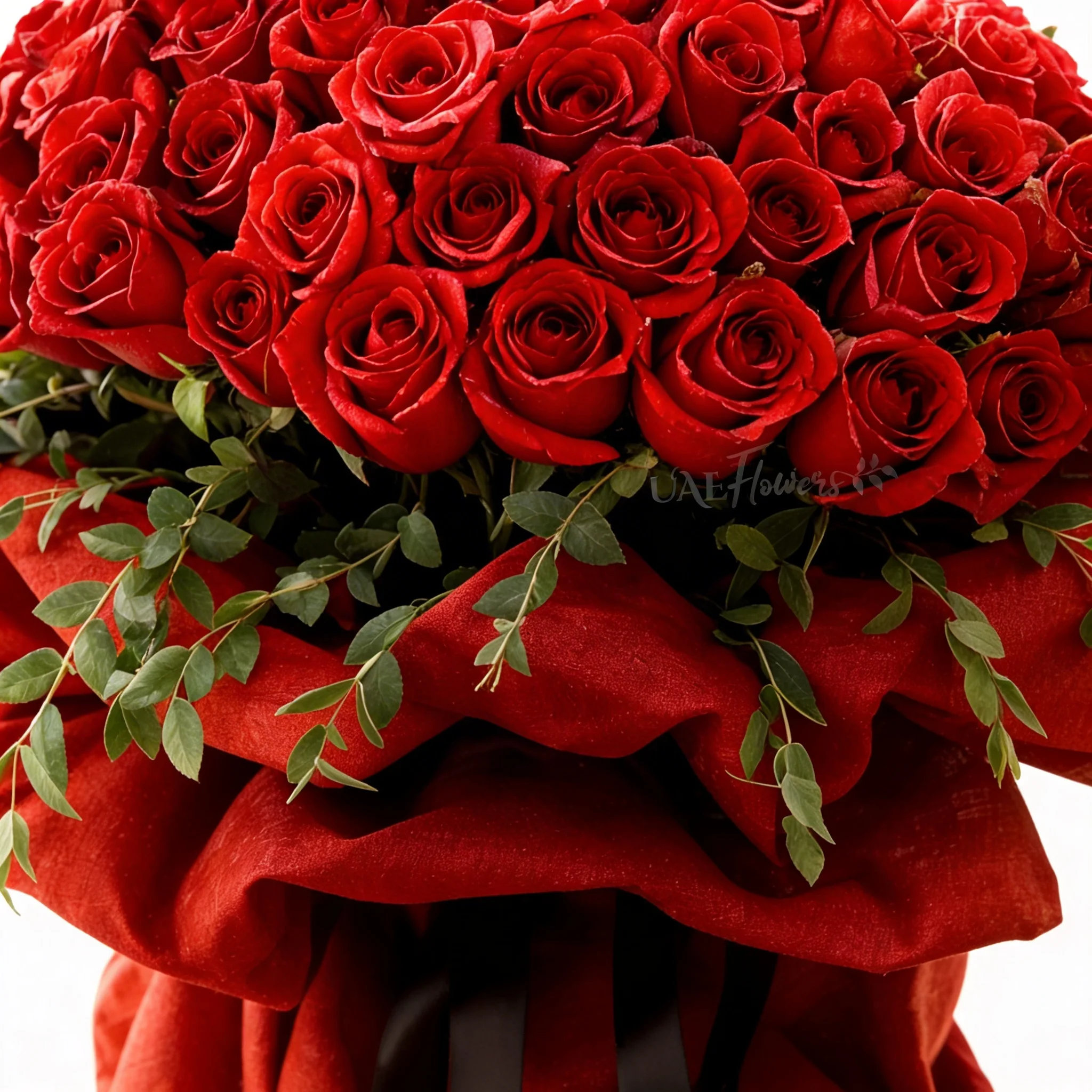 A large bouquet featuring 40 vibrant red roses paired with delicate gypsophila (baby's breath) elegantly wrapped in cream-colored paper and tied with a bold red ribbon, sitting on a table in a modern