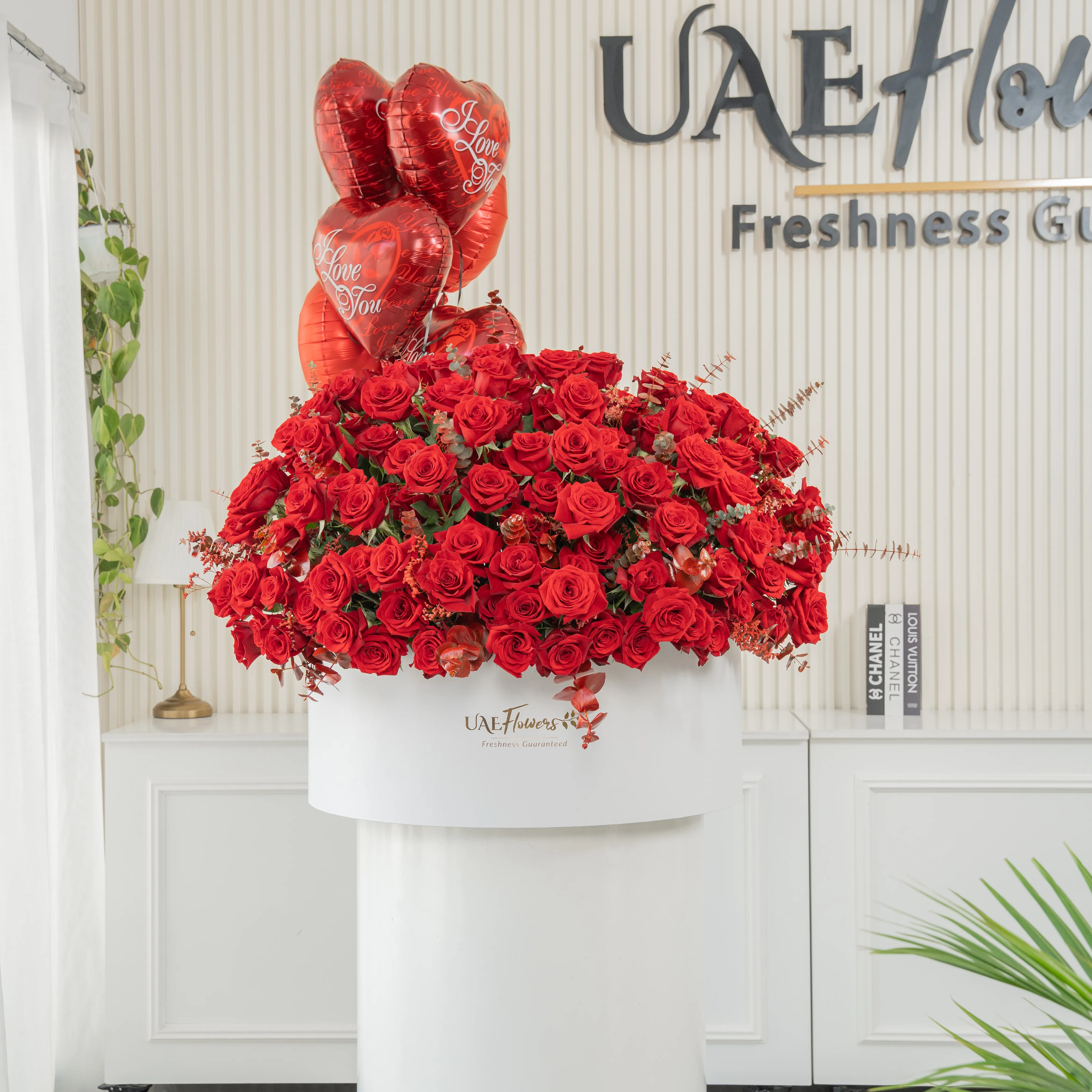 Full round arrangement of 250 red roses in a white round box.
