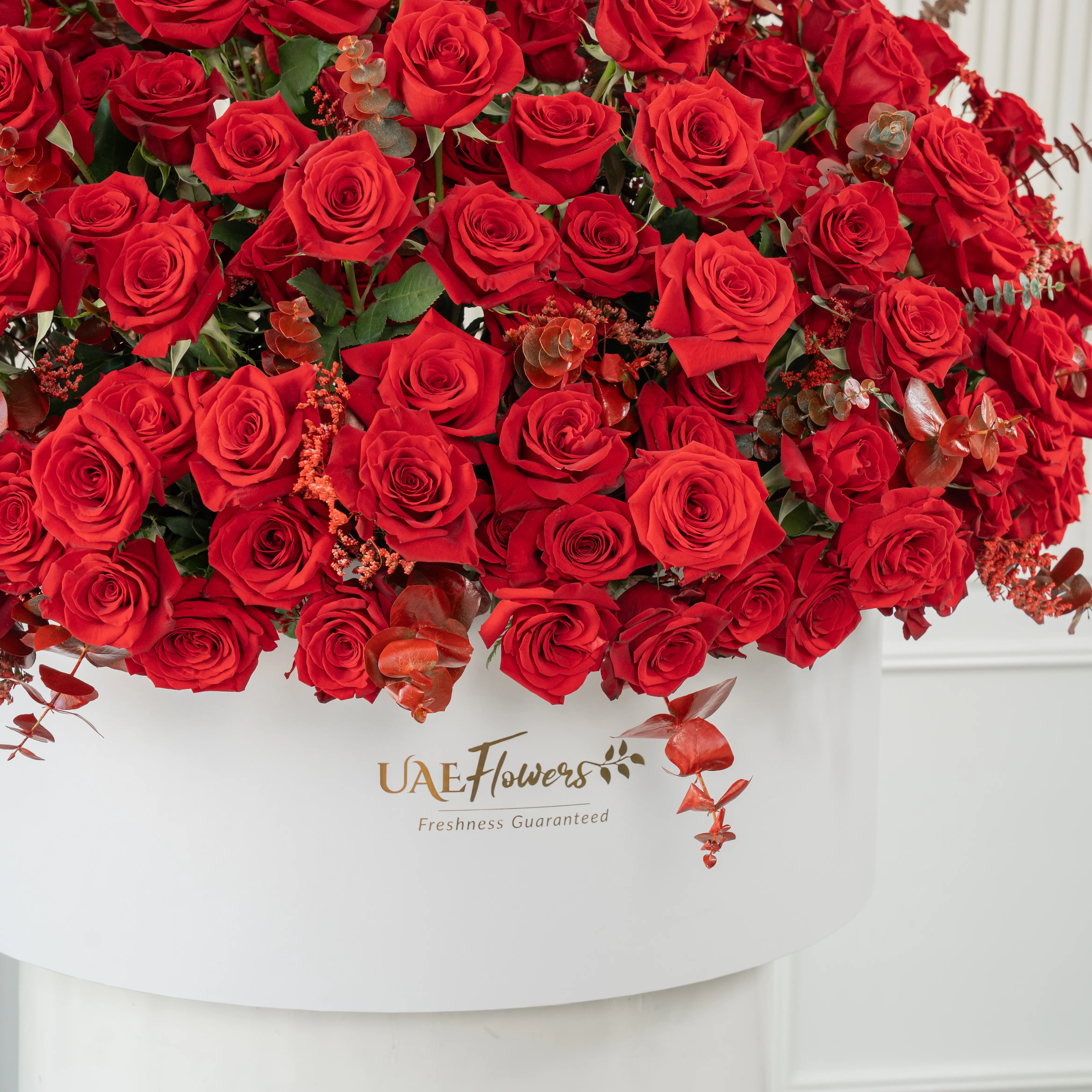 Full round arrangement of 250 red roses in a white round box.