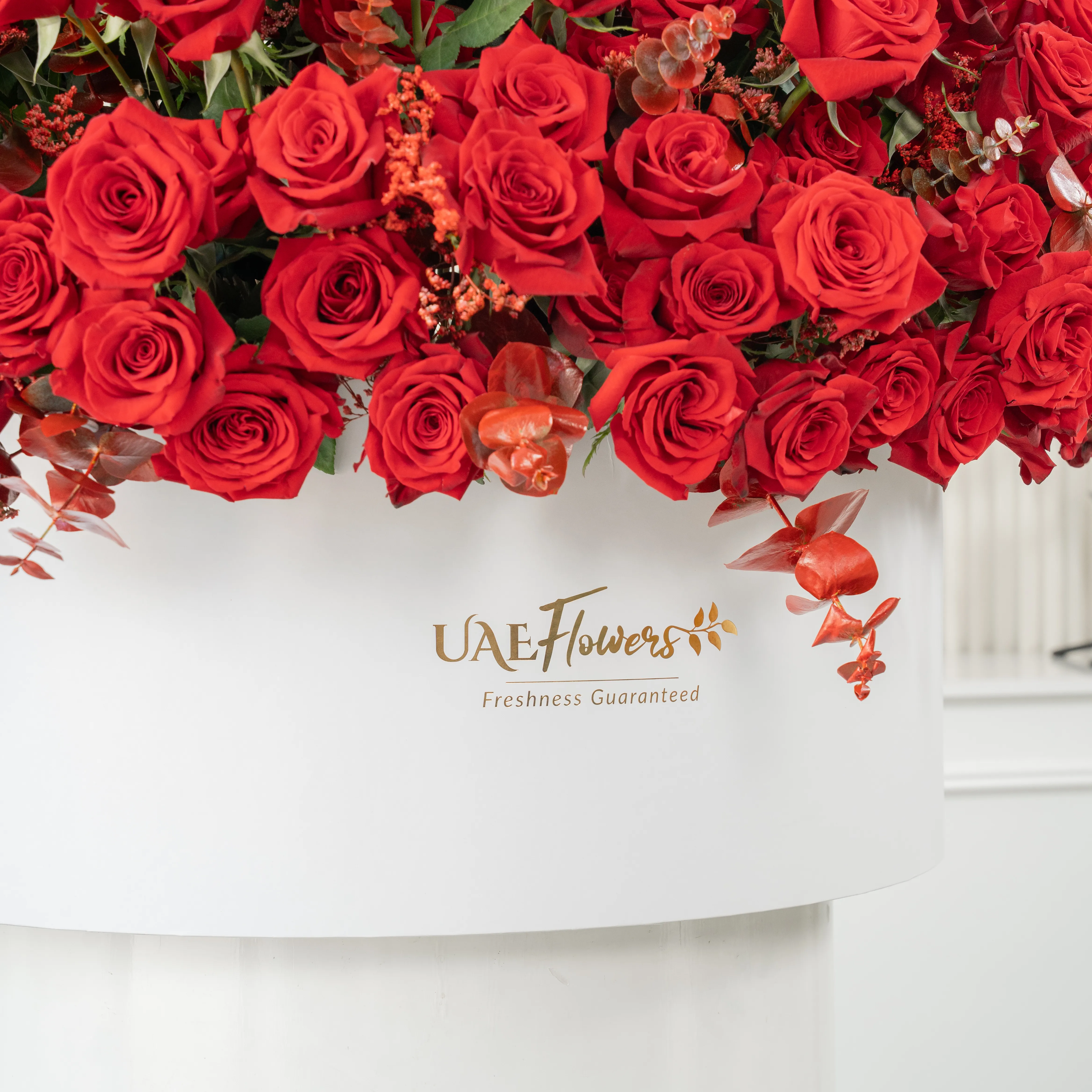 Full round arrangement of 250 red roses in a white round box.