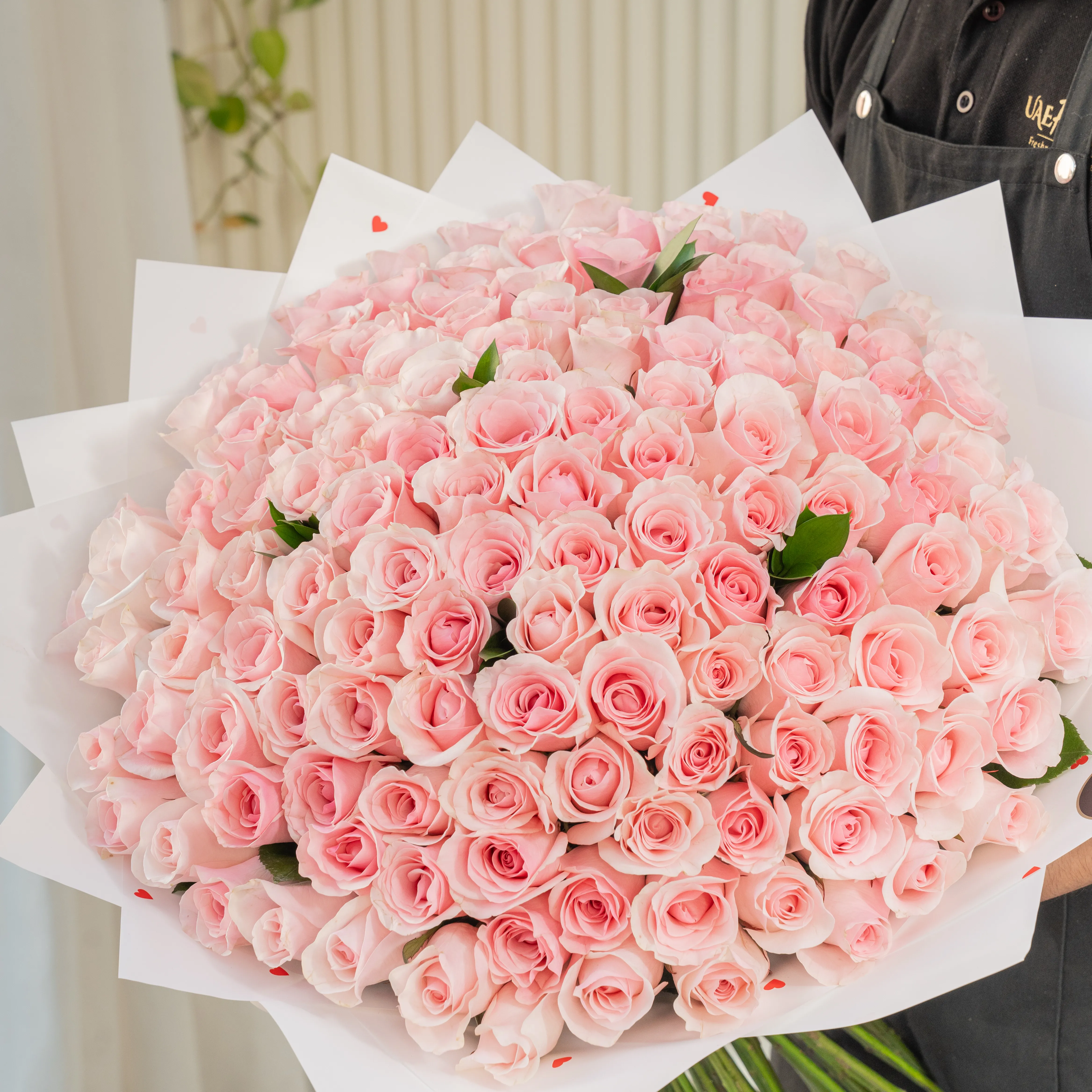 Pink Roses , pink flowers