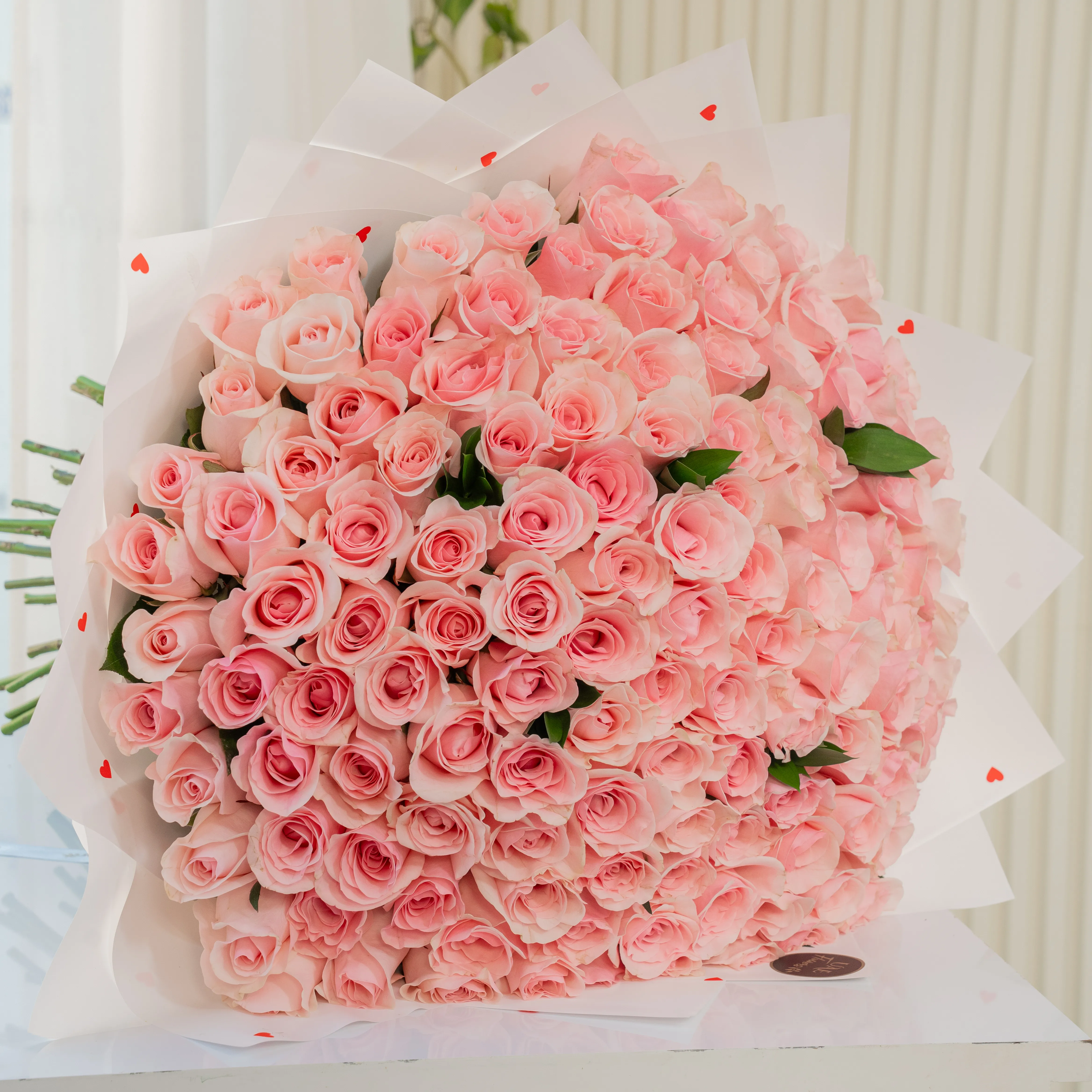 Pink Roses , pink flowers