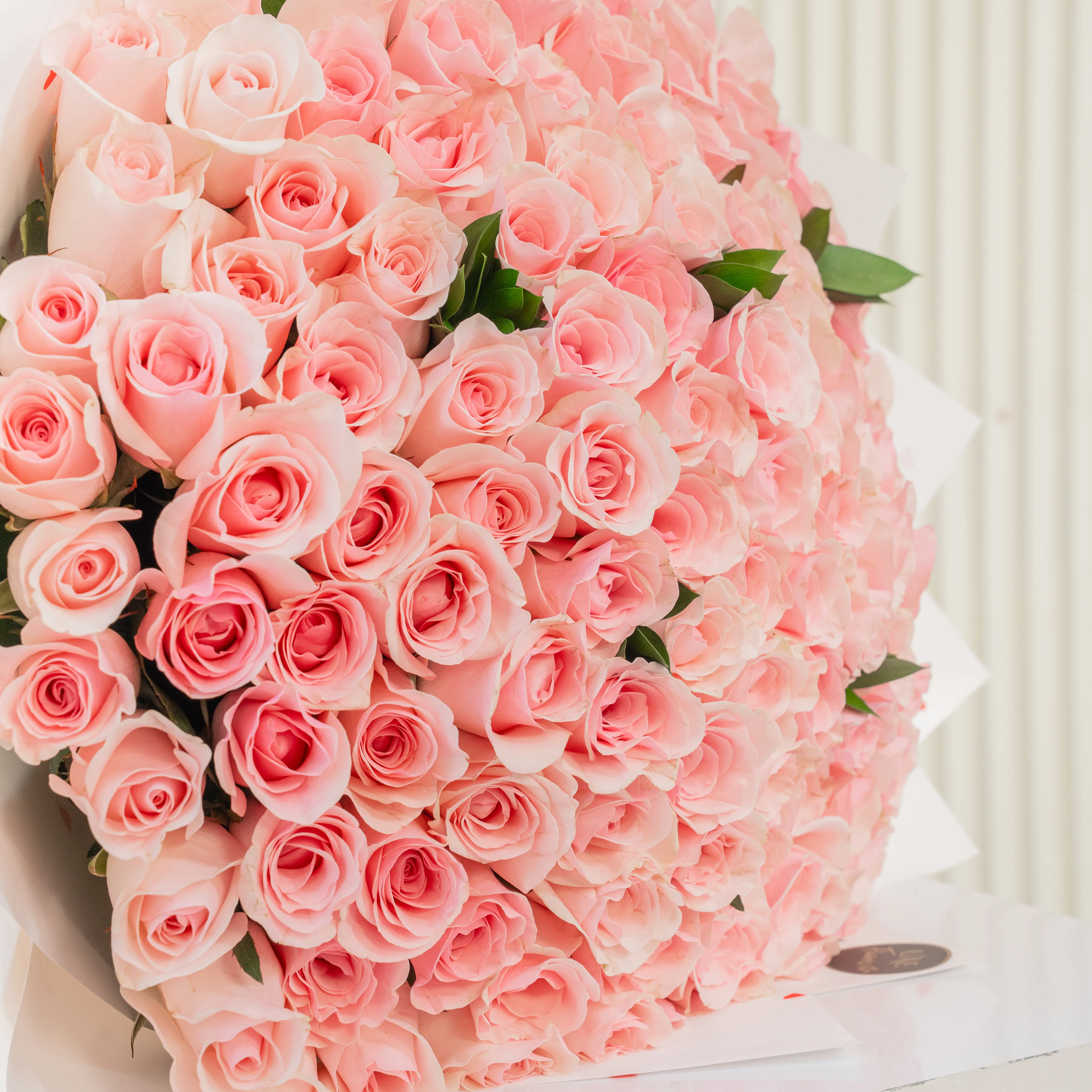 Pink Roses , pink flowers