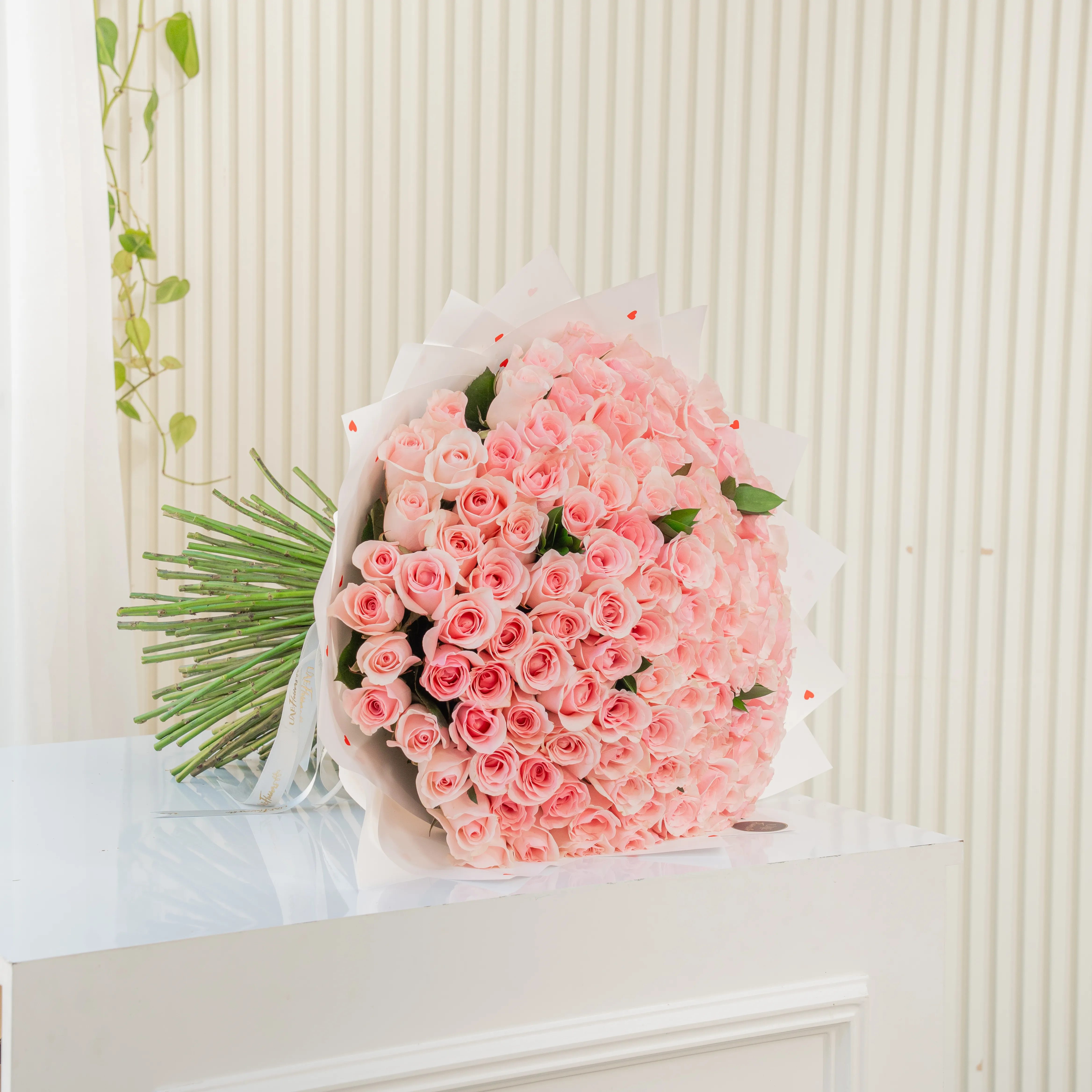 Pink Roses , pink flowers