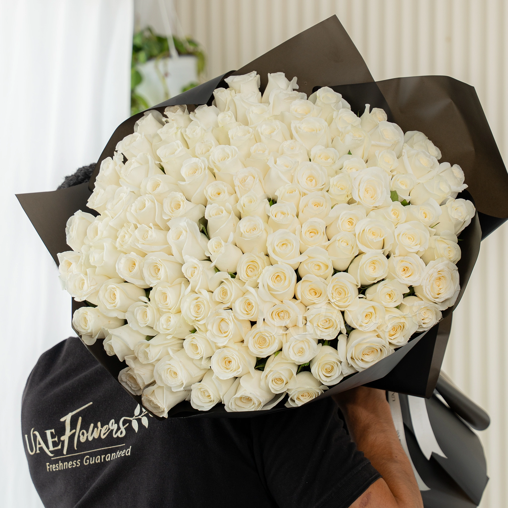 Bouquet of 100 white roses