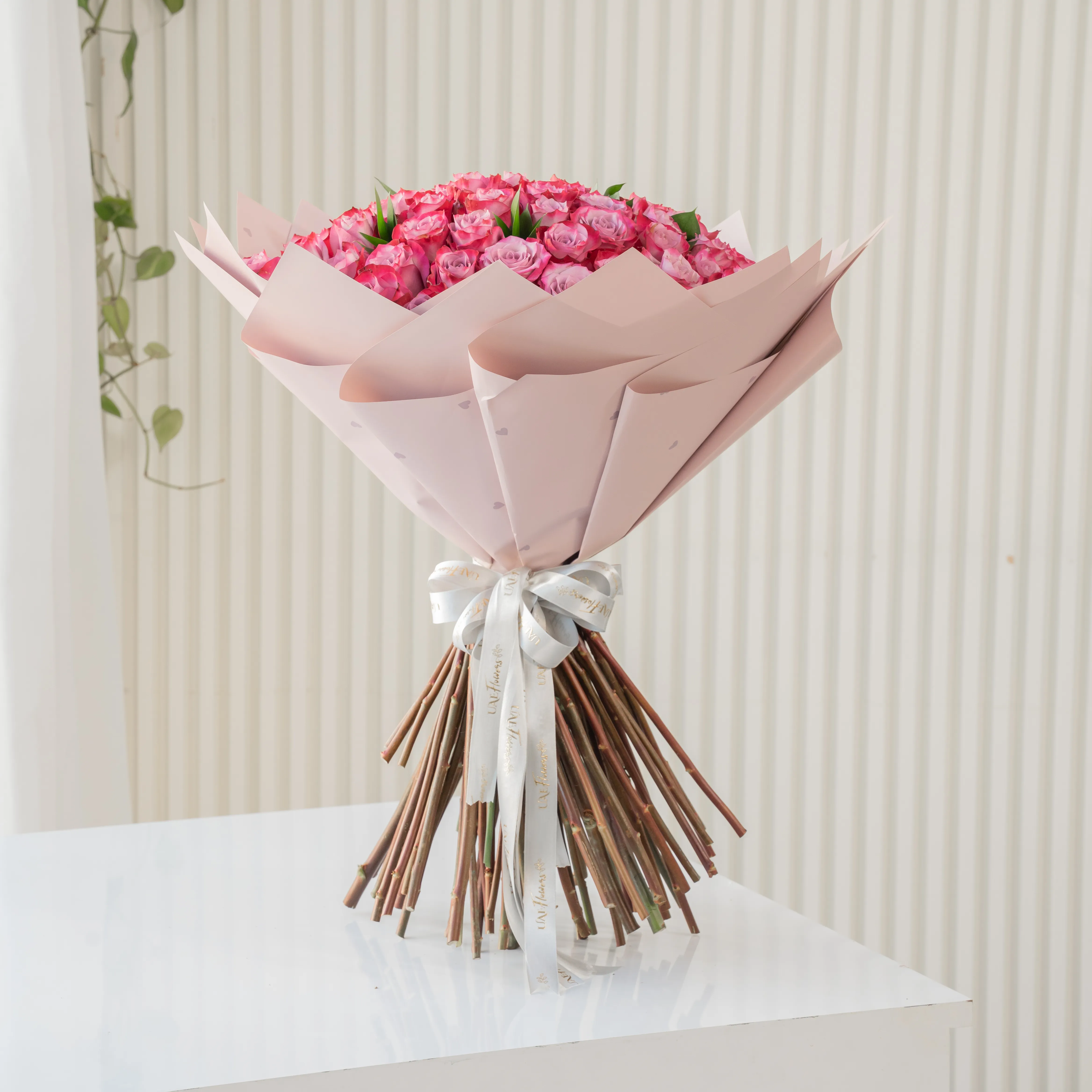 Bouquet of 40 purple roses in paper packing hand-tied with ribbons.