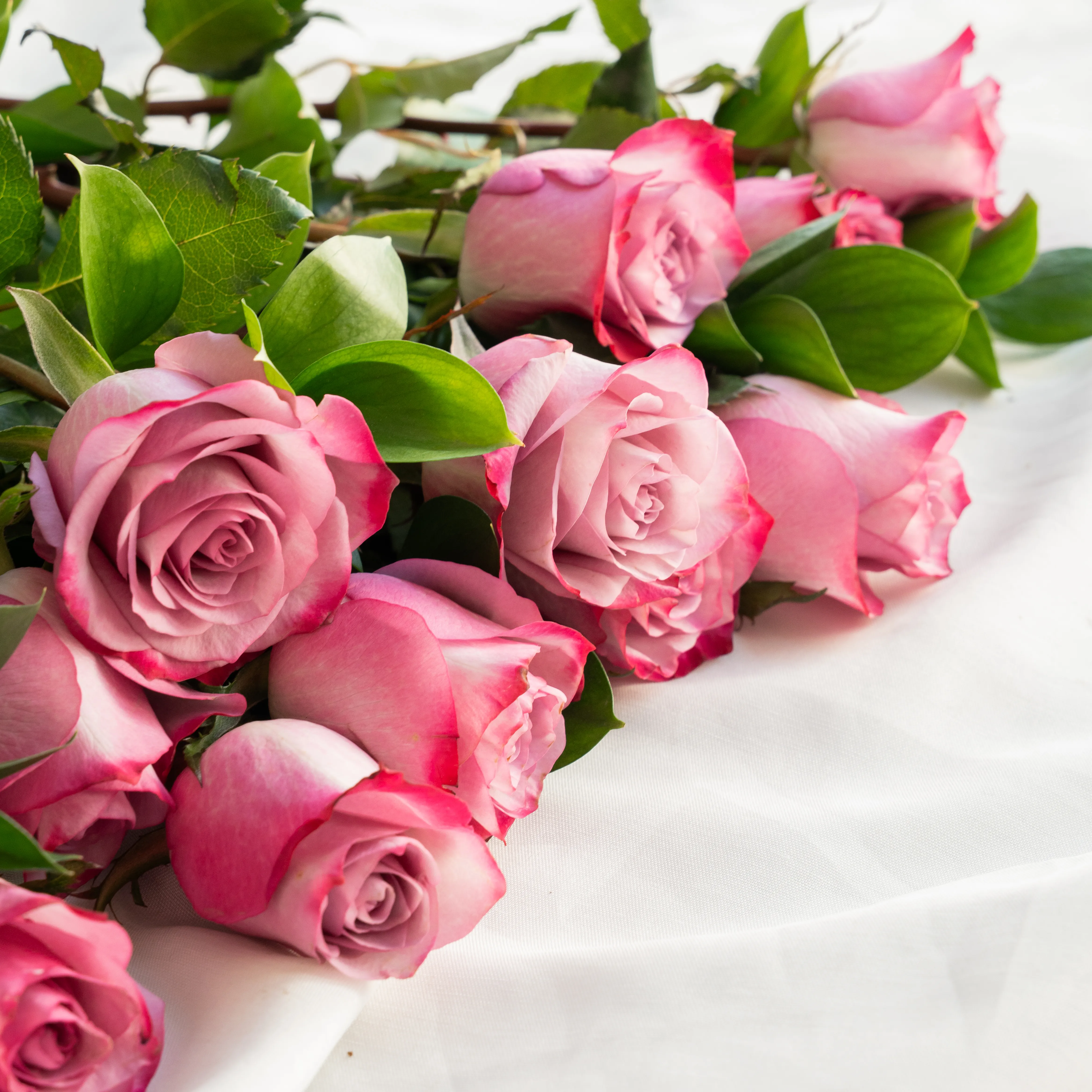 Bouquet of 10 purple roses in paper packing hand-tied with ribbons.