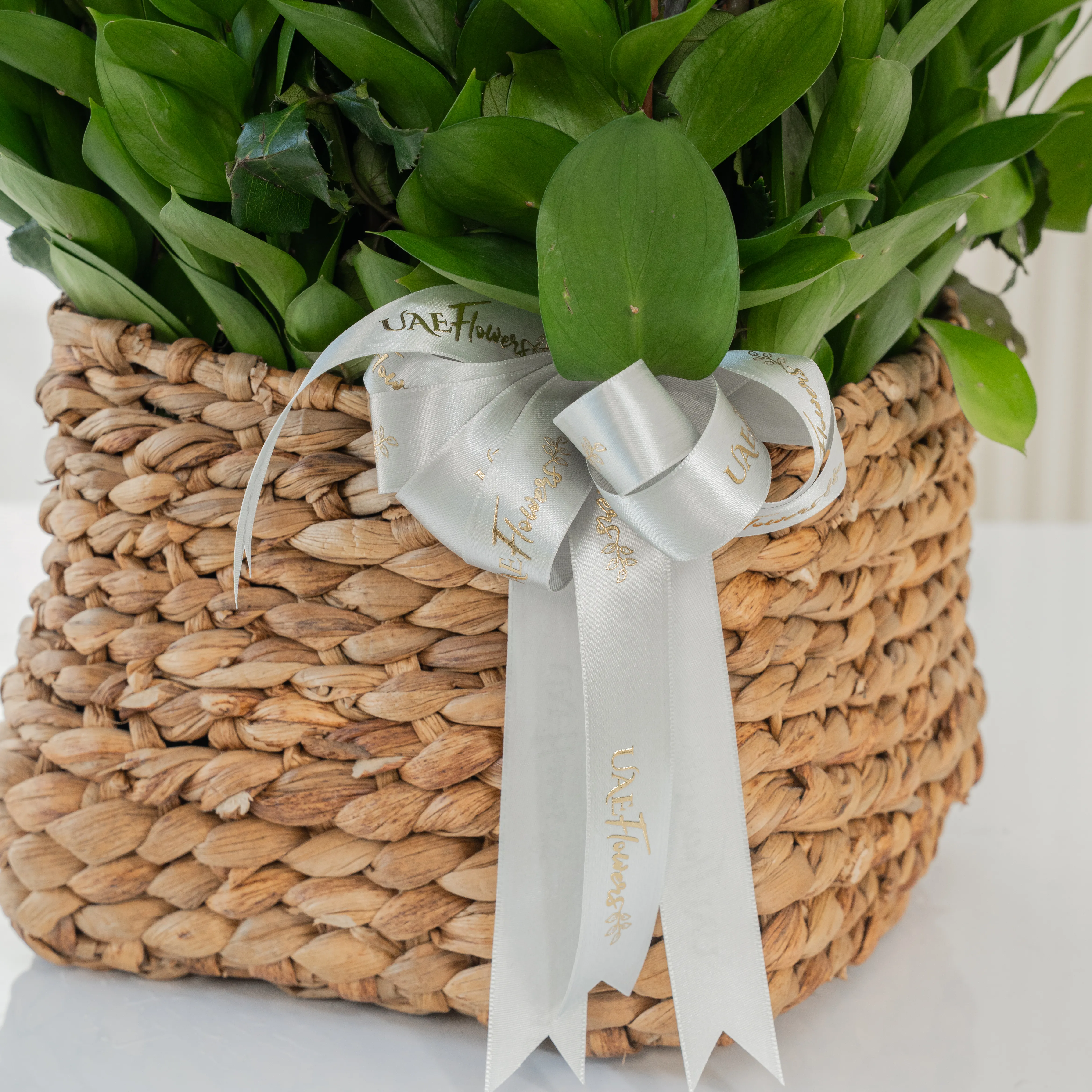 36 Purple Roses in a Square Basket