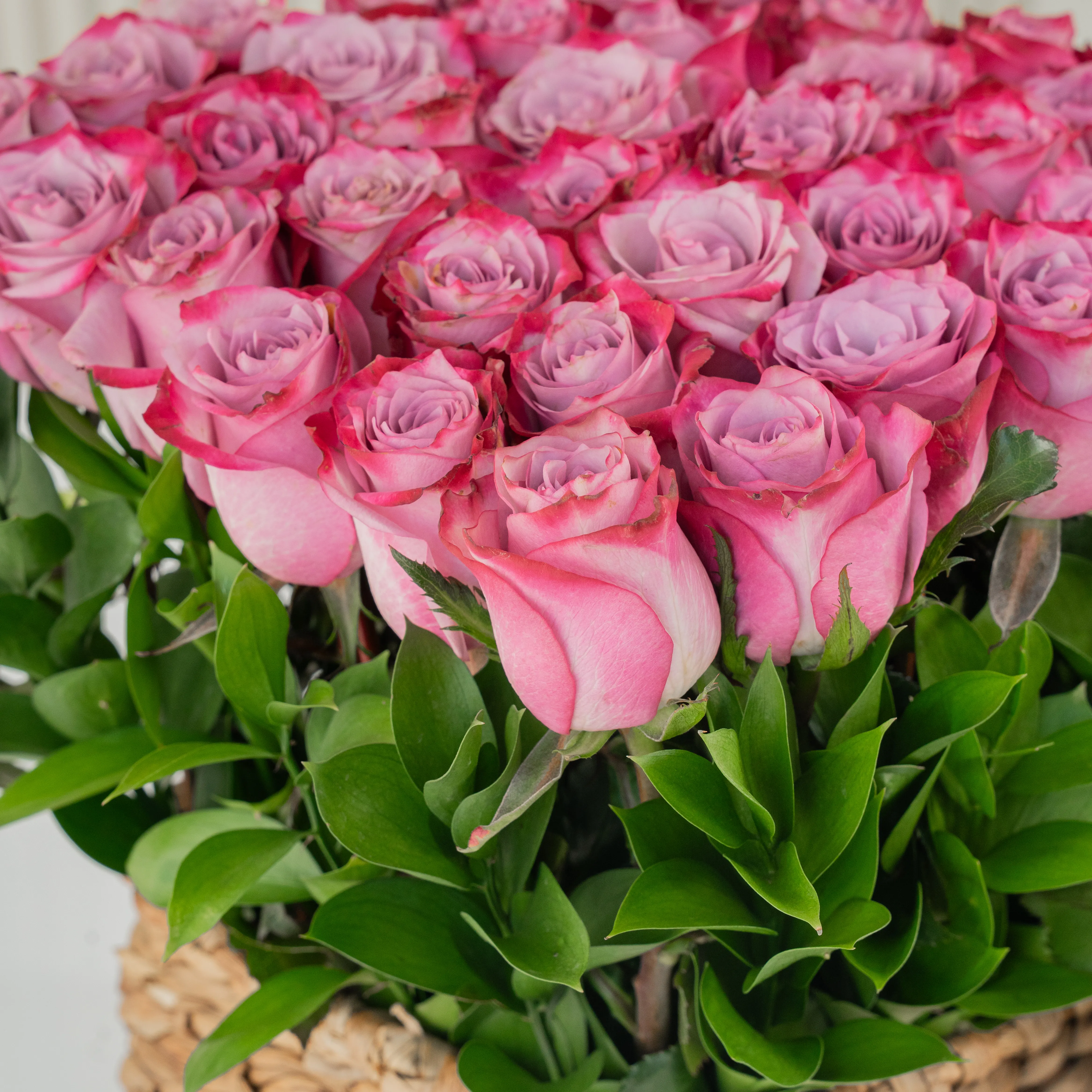 36 Purple Roses in a Square Basket