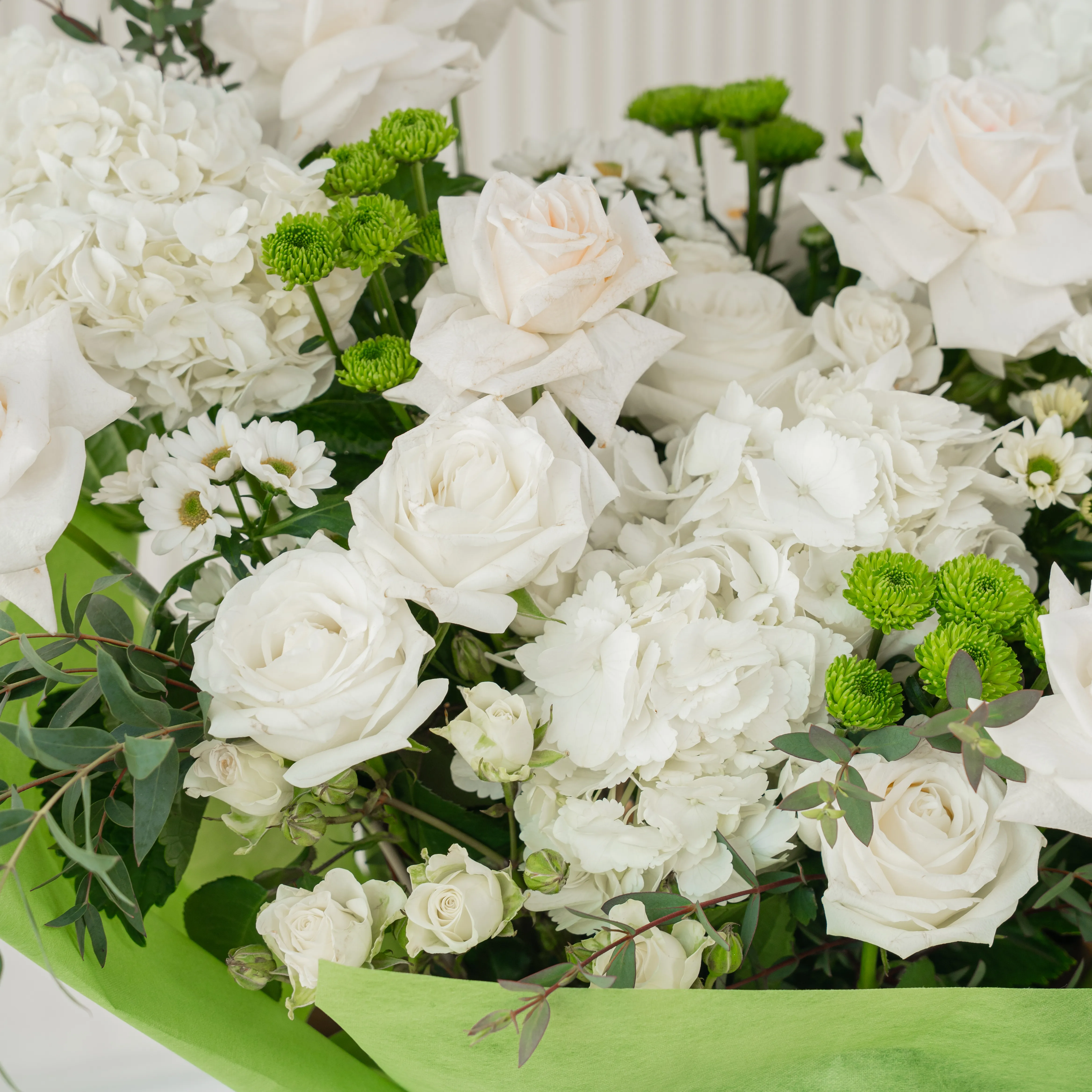 White Meadow bouquet with 16 white roses, 4 green chrysanthemums, and hydrangeas, tied with white ribbon—perfect for celebrations or thoughtful gifting.