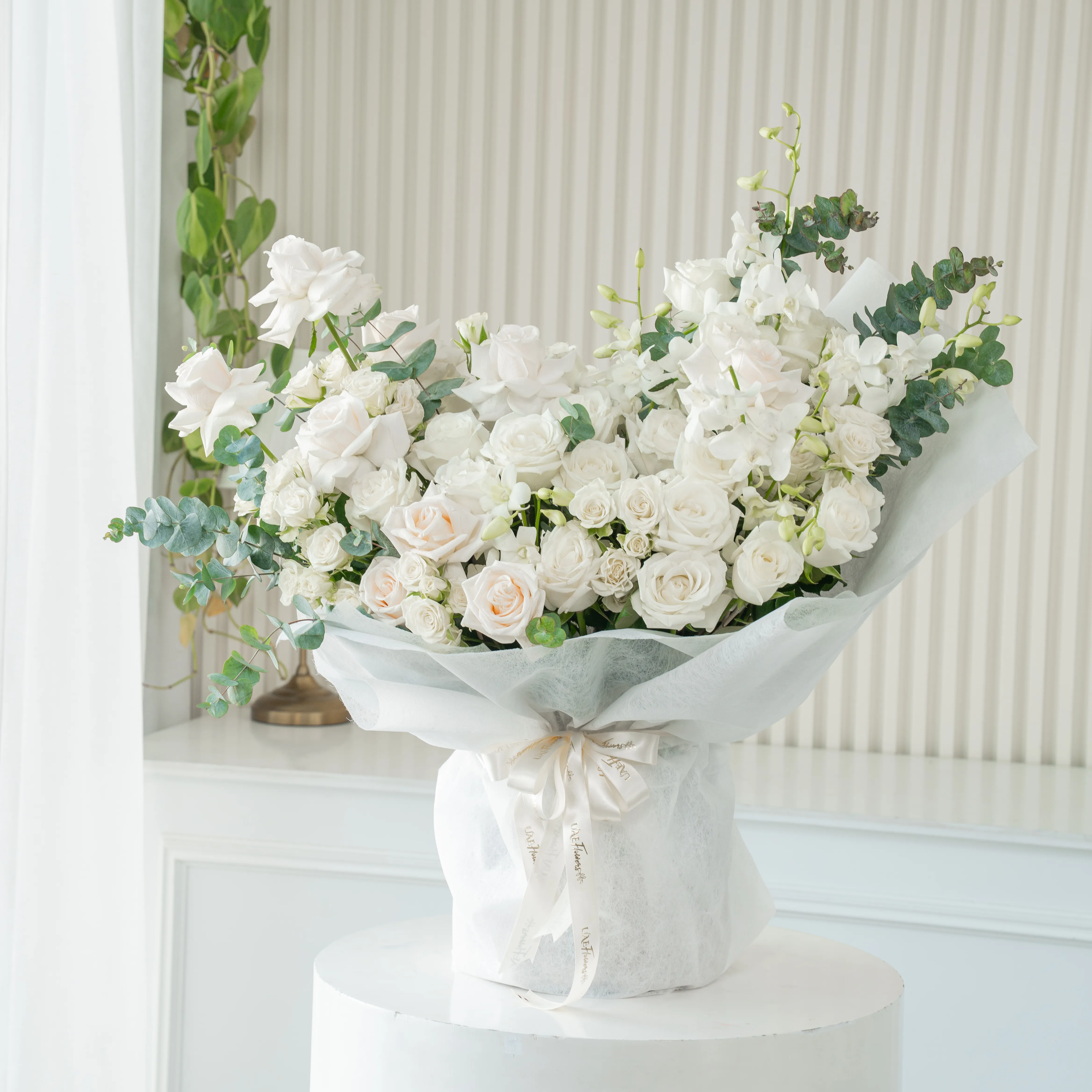 Bouquet of 20 white roses and 10 white spray roses with green fillers in white paper packing tied with white ribbon.