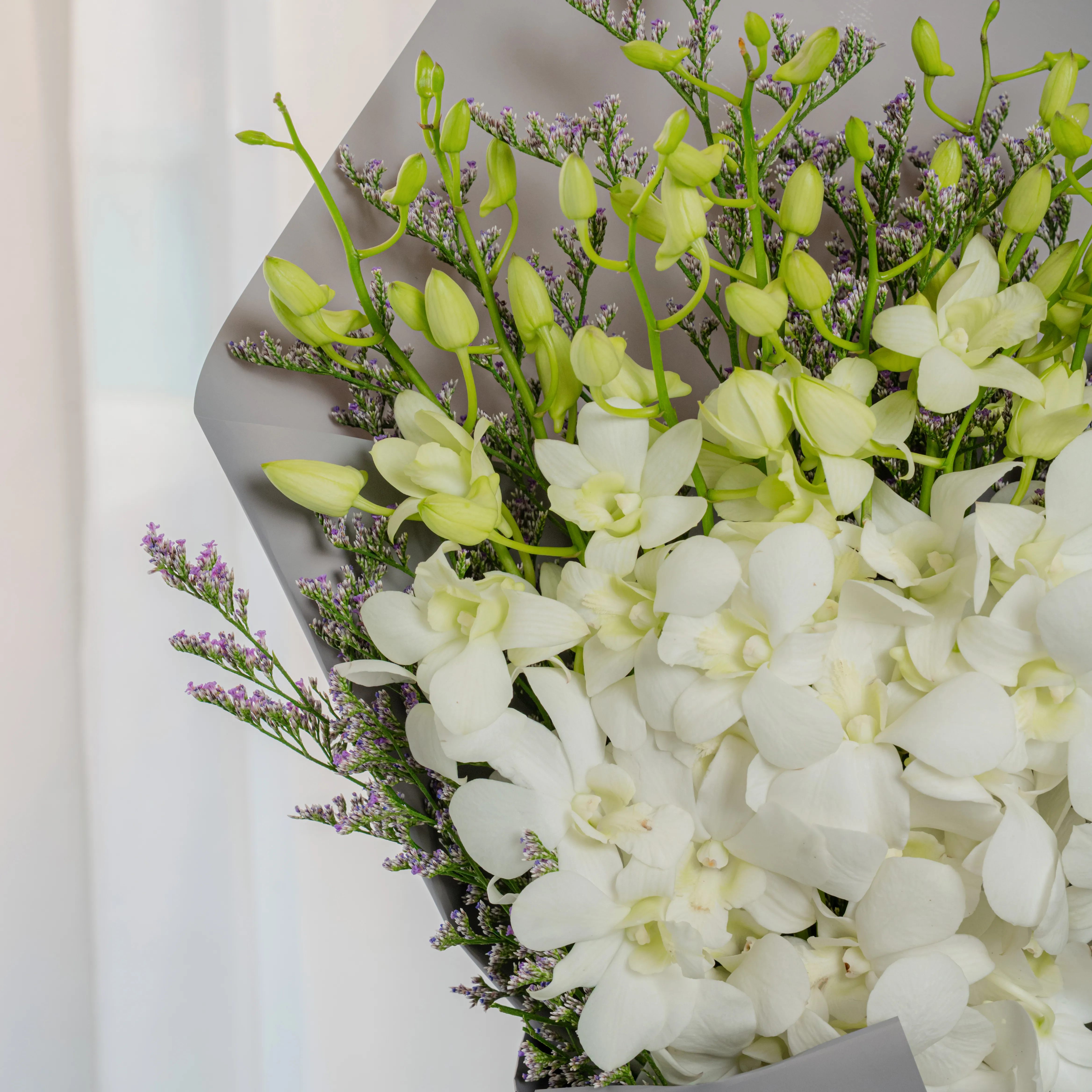 10 white orchids