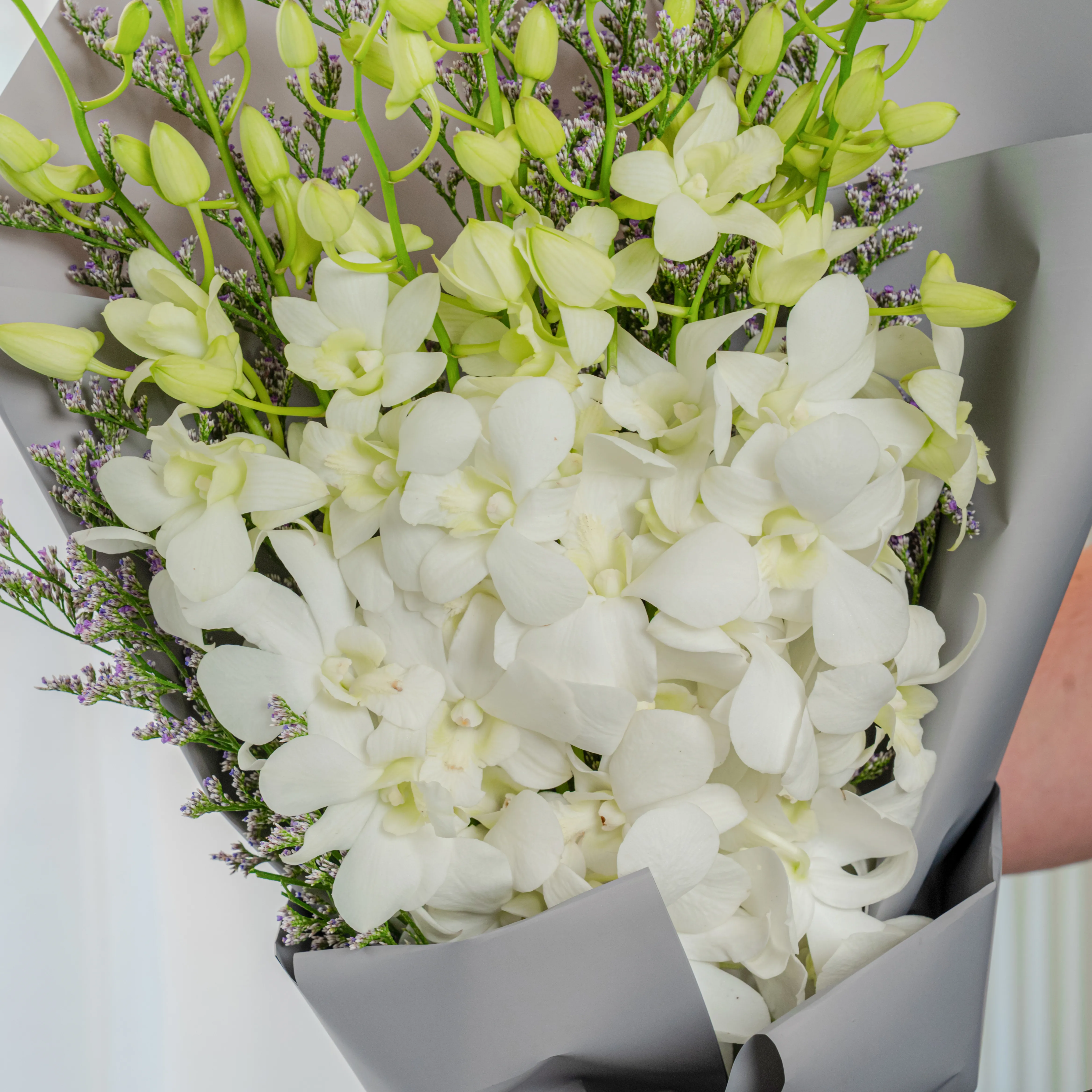 10 white orchids
