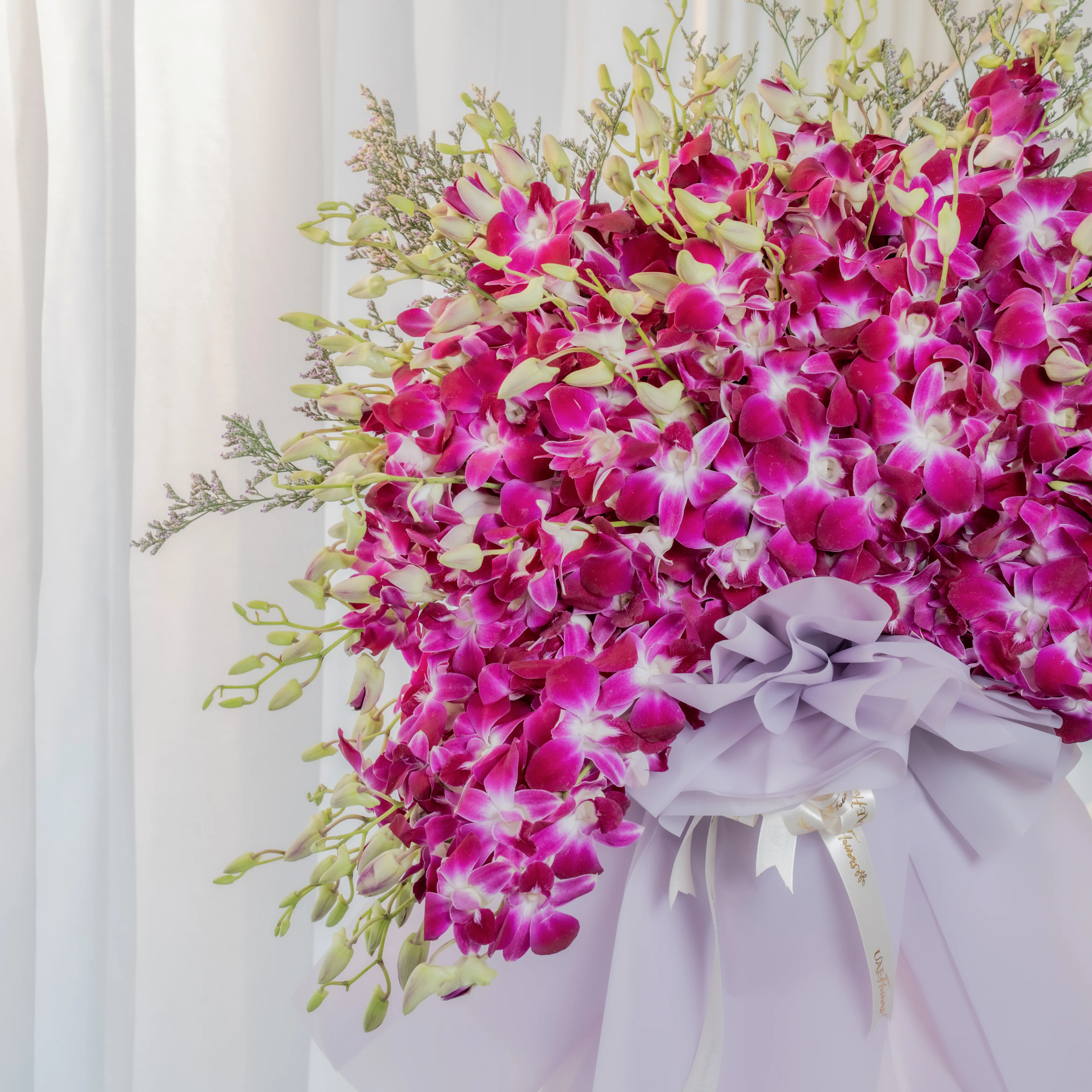 purple orchids