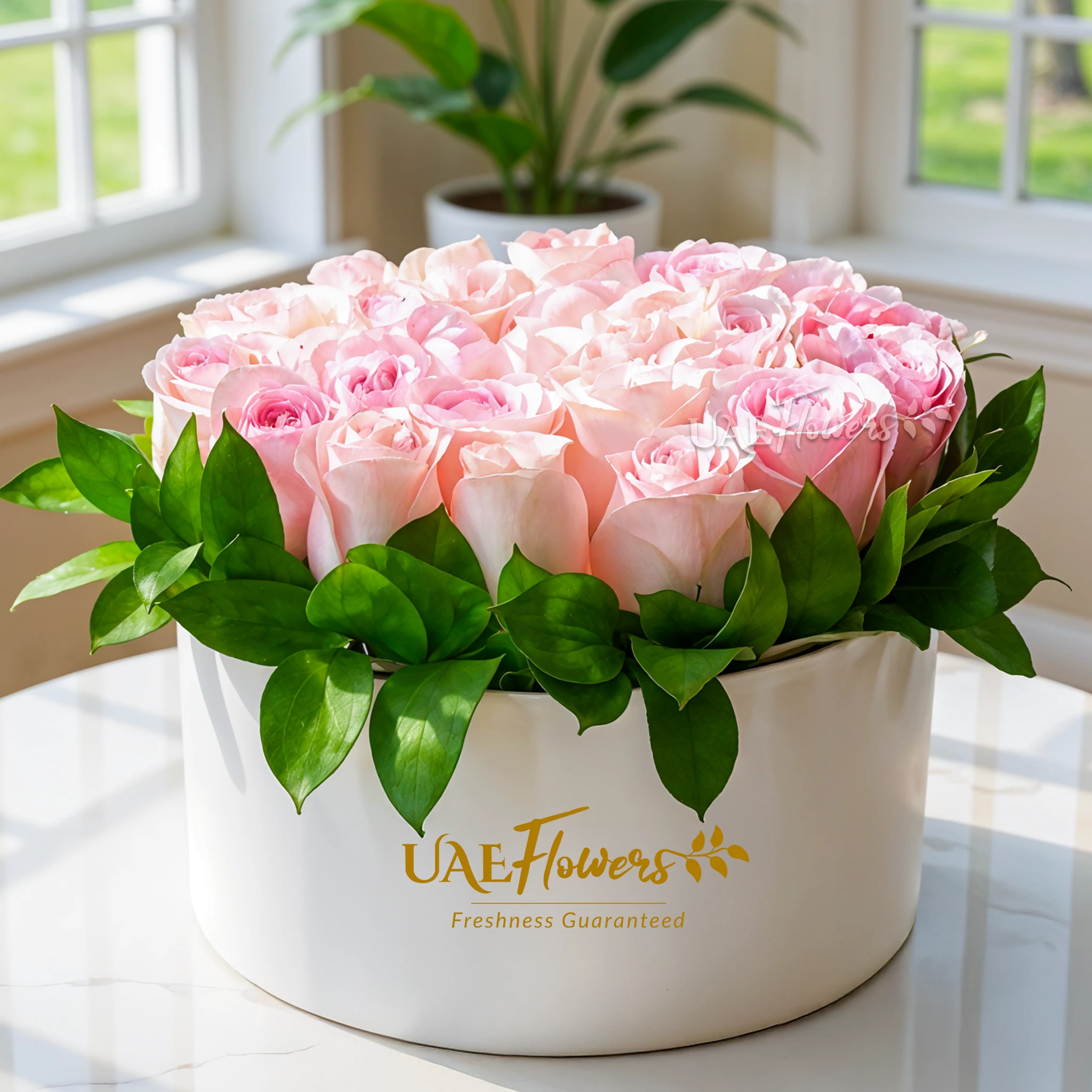30 pink roses in a white round box
