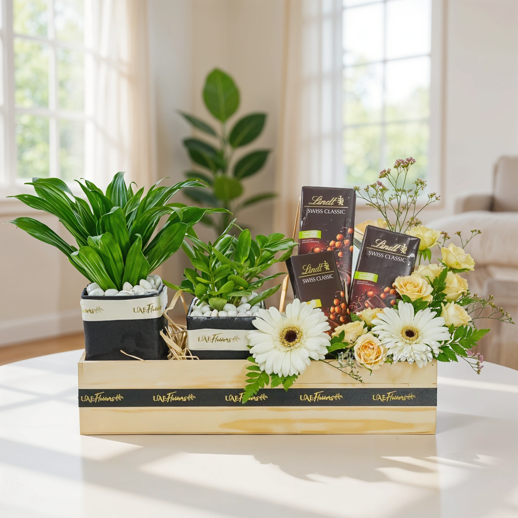 A wooden box arrangement of Jade plant in pot, Dracaena plant in pot, 3 pcs of Lindt Swiss Dark Chocolate, 2 white gerberas and 3 peach spray roses with green fillers.