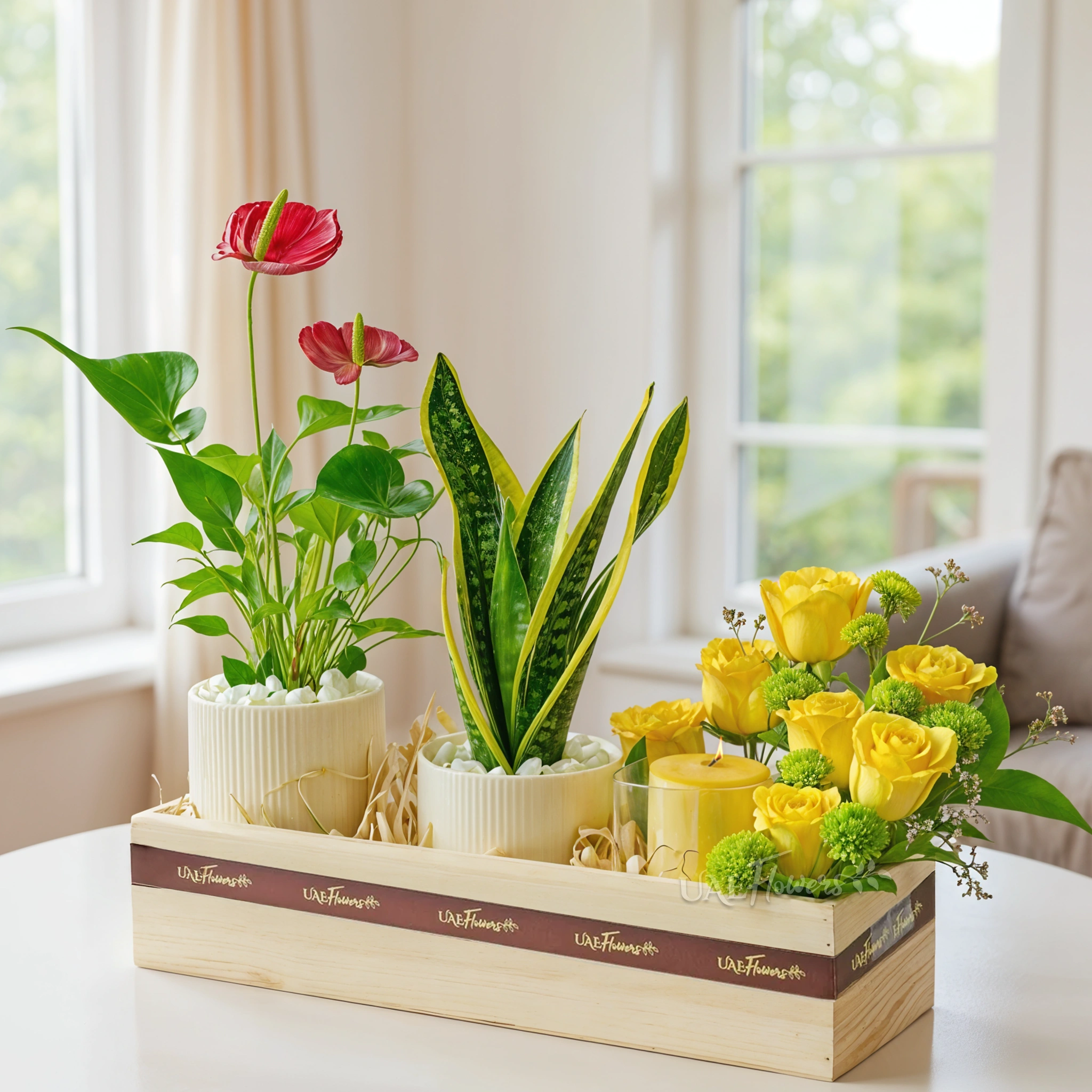 A wooden tray arrangement of 7 yellow roses, green button chrysanthemums, Yellow Scented Candle in a Vase, Anthurium Plant in Pot, Snake plant in a pot.