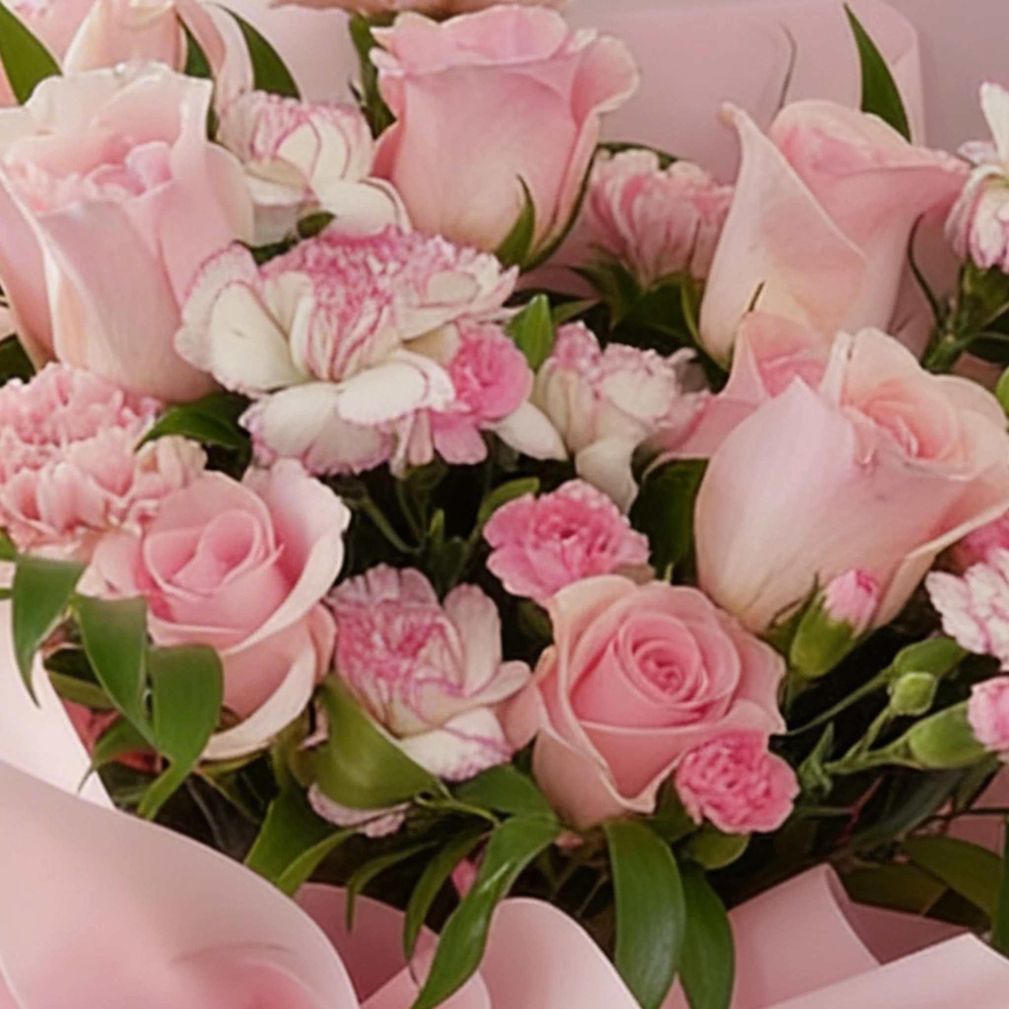 Bouquet of 6 pink roses, 6 pink carnations, 3 pink spray carnations with green fillers in pink wrapping.