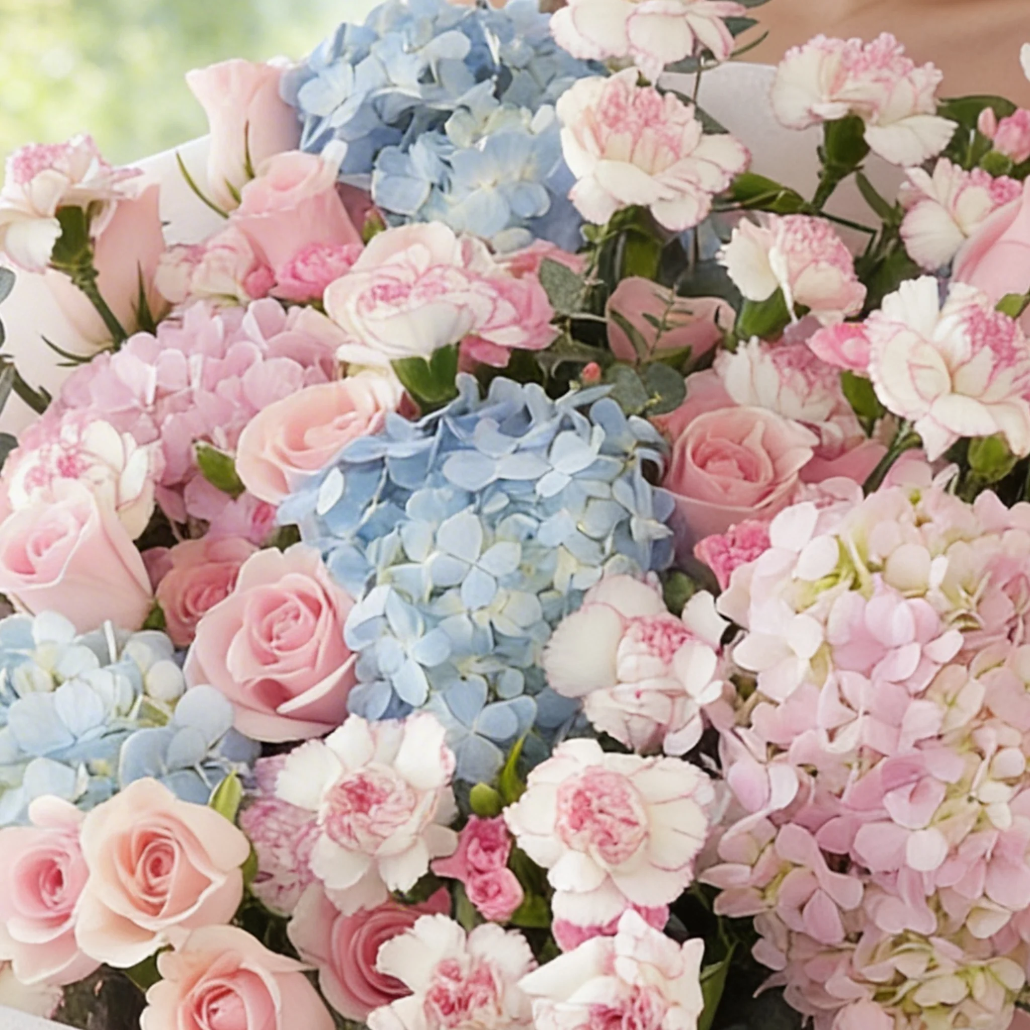 Bouquet of 4 blue hydrangeas, 2 pink hydrangeas, 30 pink roses, 30 pink carnations and 10 pink spray carnations with green fillers in pink wrapping.