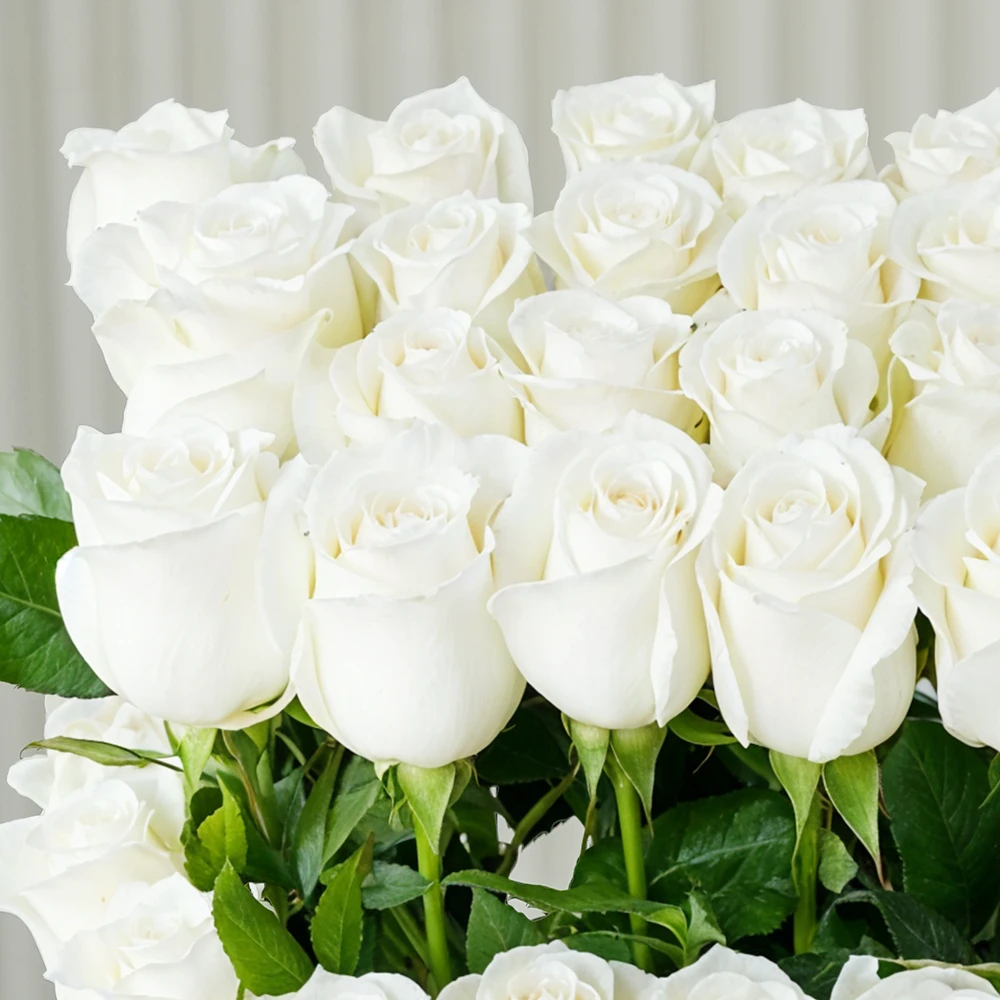 50 white roses with green fillers in a wooden tray.