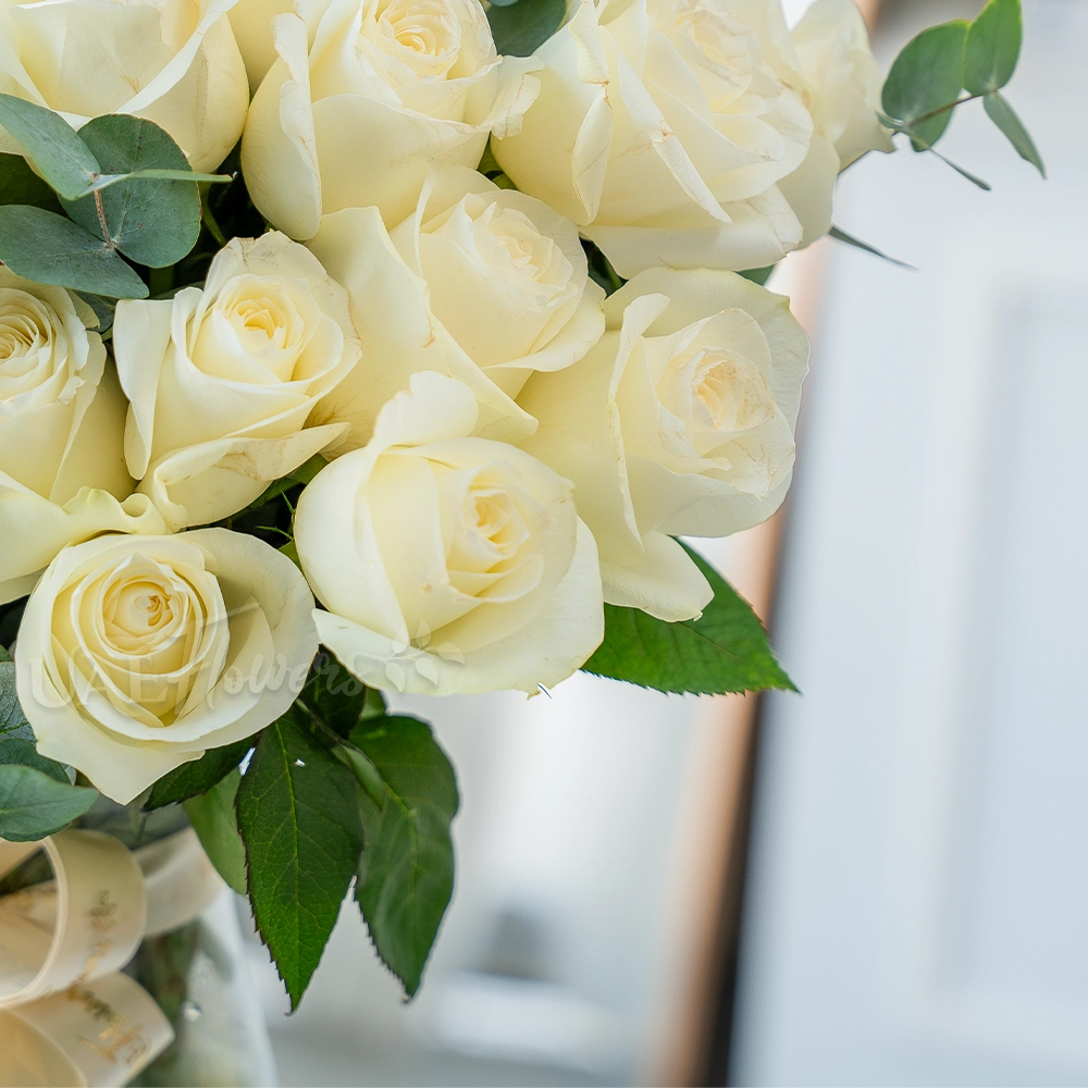 Elegant white roses in a glass vase with ribbon