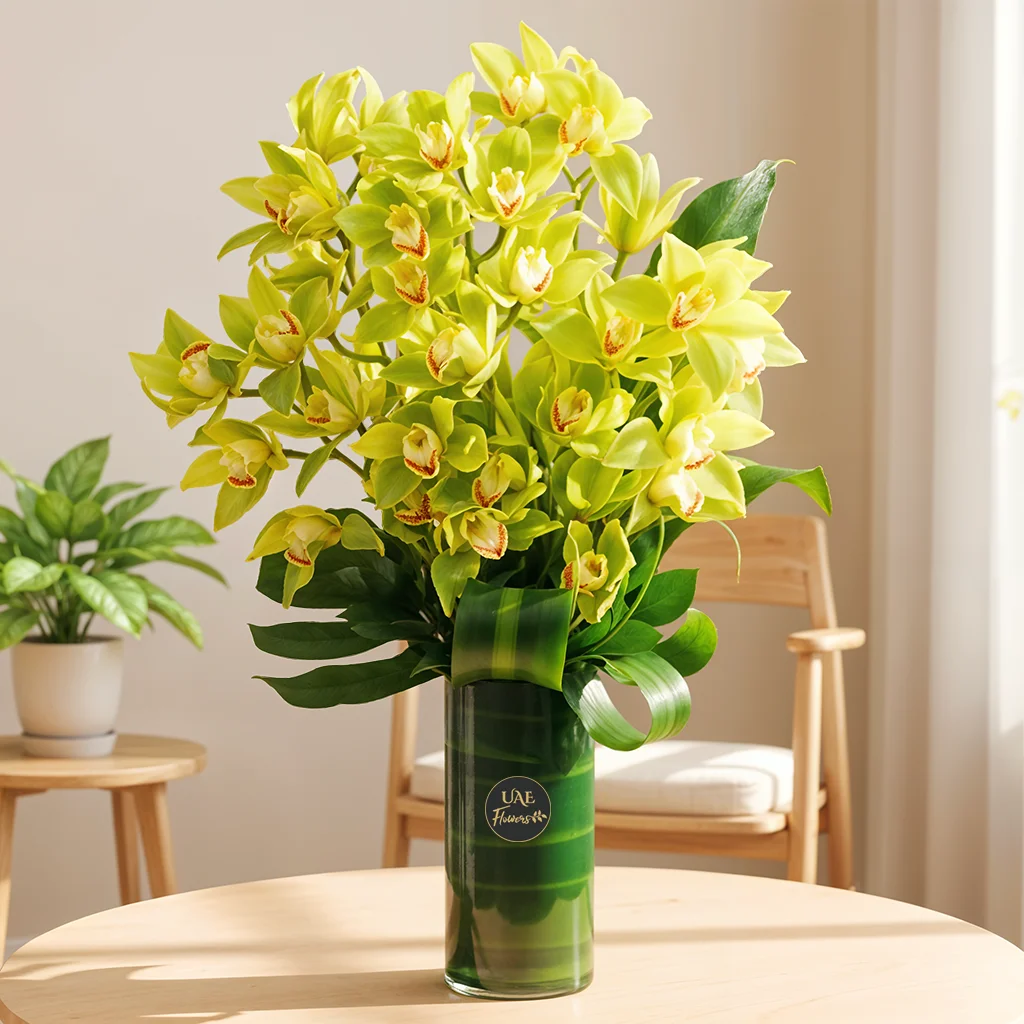5 green cymbidium orchids in a vase