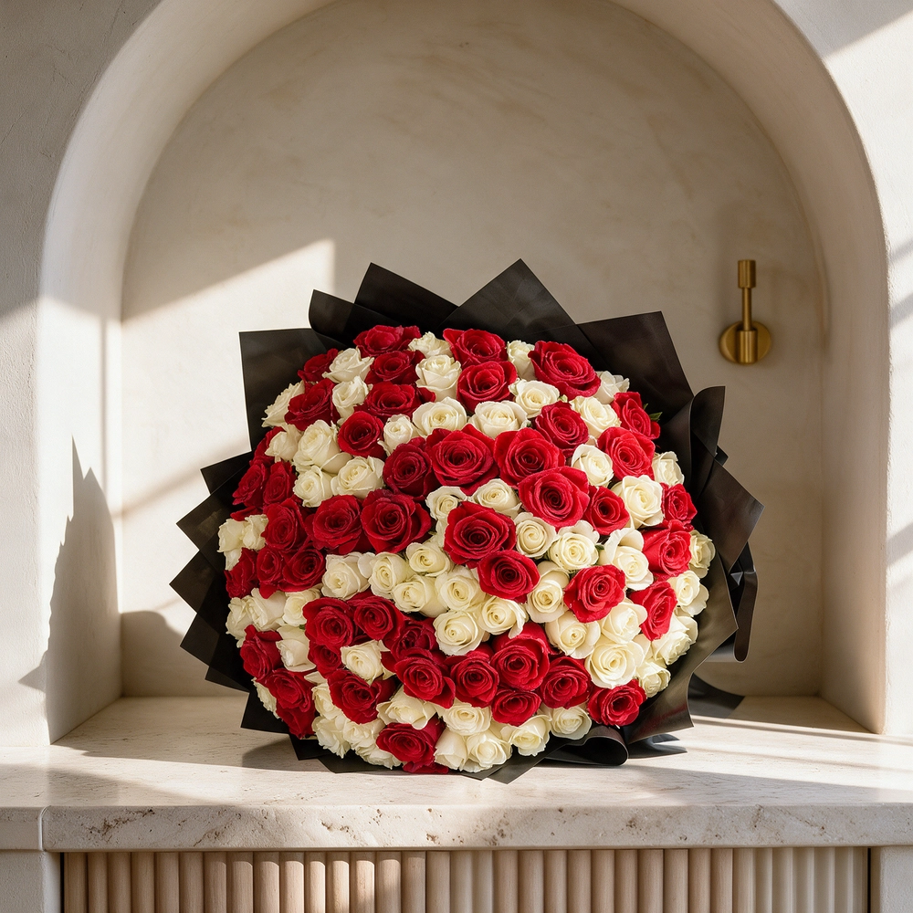 bouquet of 100 red and white roses wrapped in black paper and tied with ribbons.
