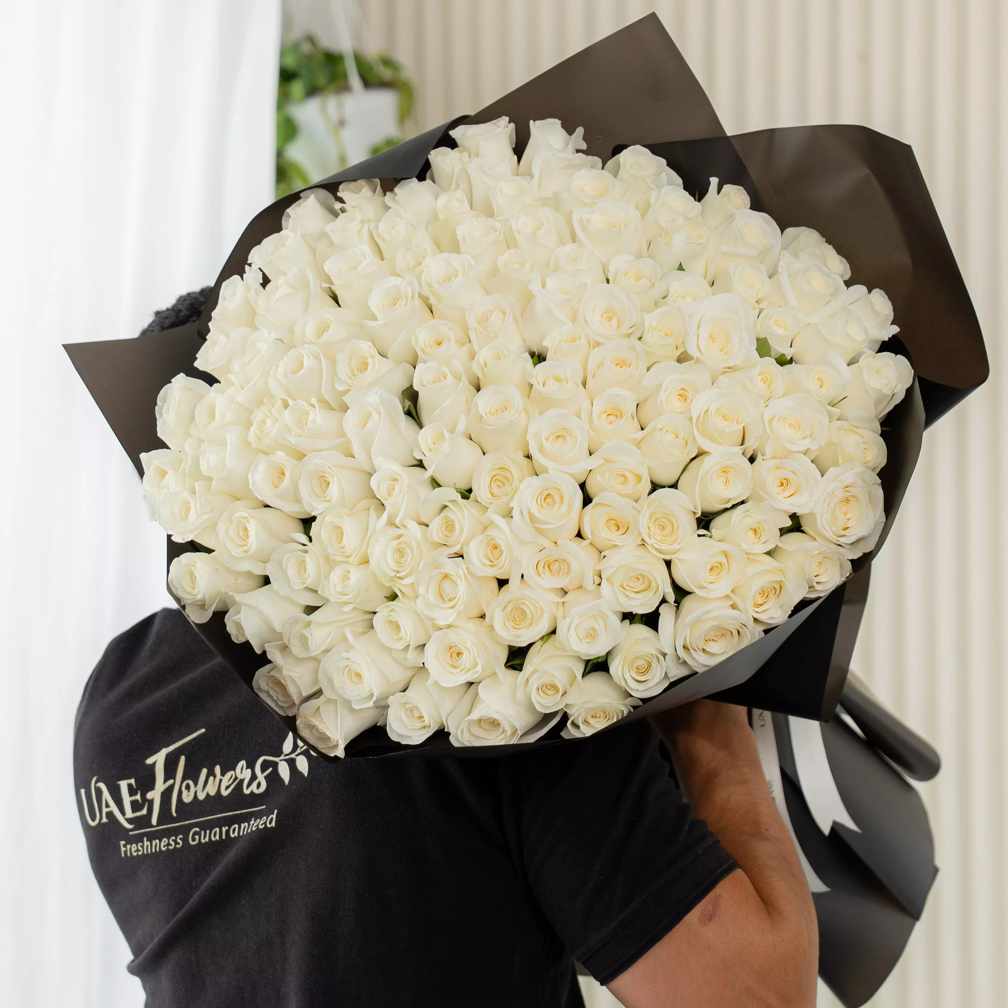 Bouquet of 100 white roses in black paper packing tied with ribbons